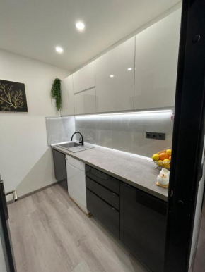 Apartment Lux